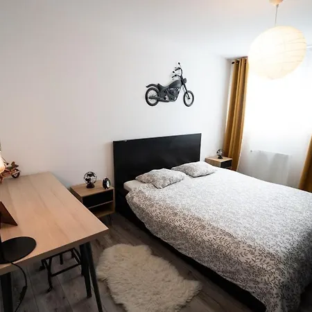 Bright Modern, Near Center And 10 Min From Beaches Apartment